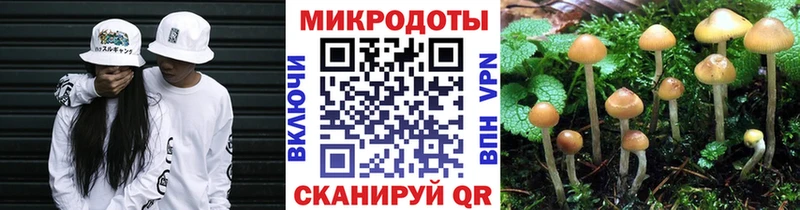 Псилоцибиновые грибы мицелий  Шимановск 